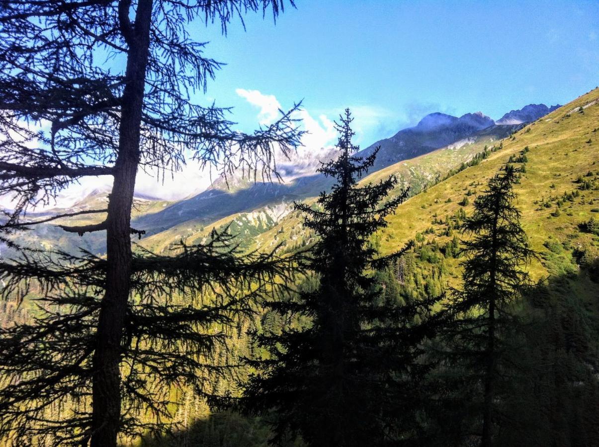 Apartment Cristina - Suedbalkon Mit Bergblick Seefeld in Tirol Esterno foto